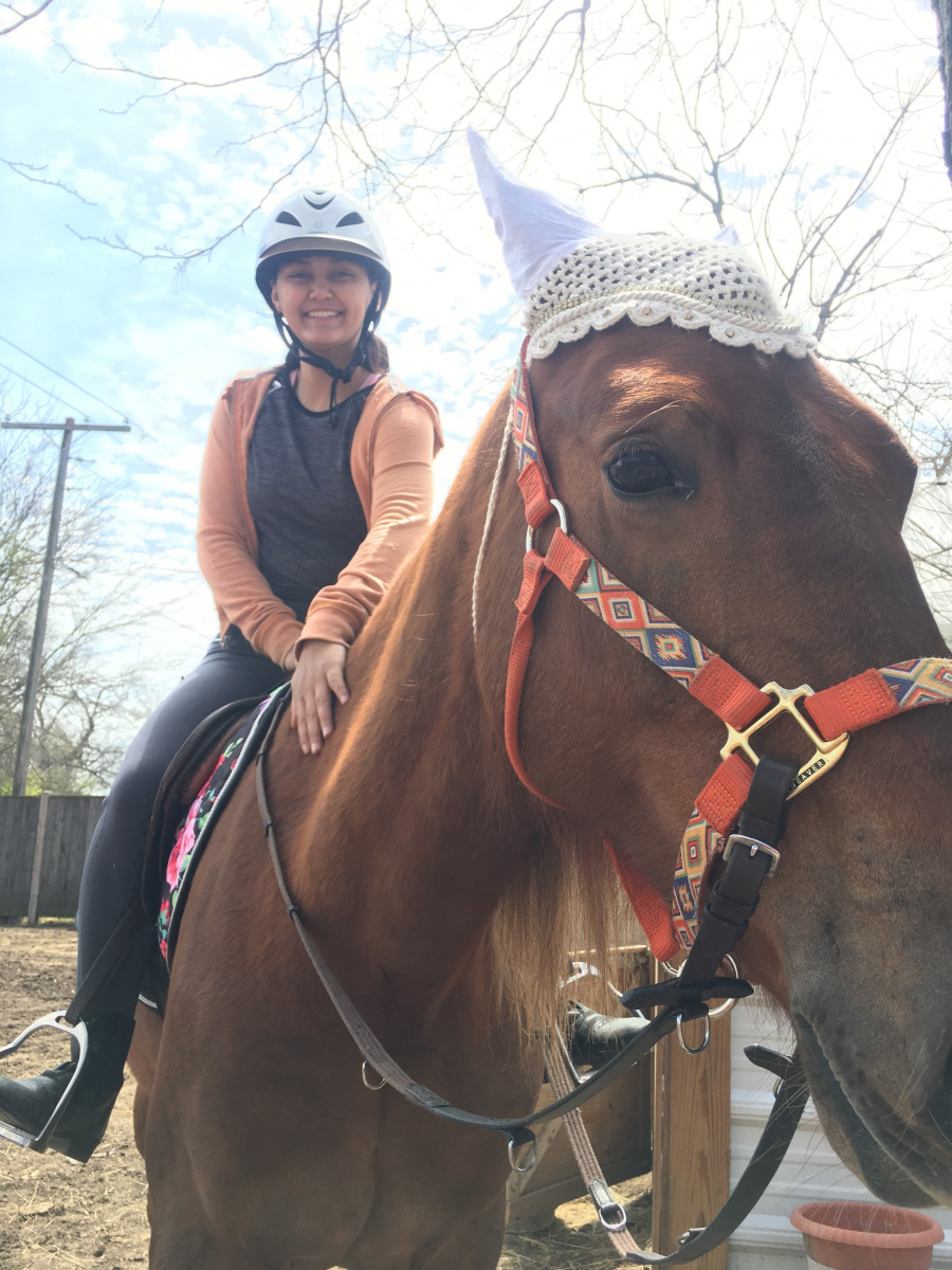 Woman riding horse outdoors. 