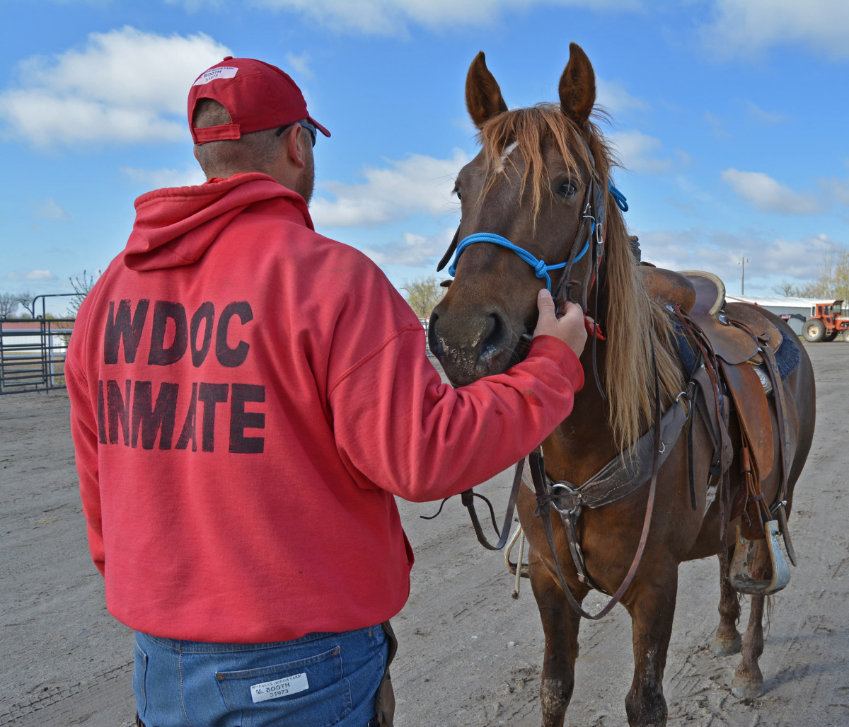 Man stands with horse. 