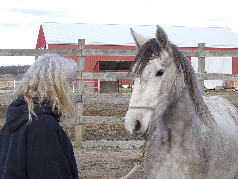 A trainer with gray horse. 