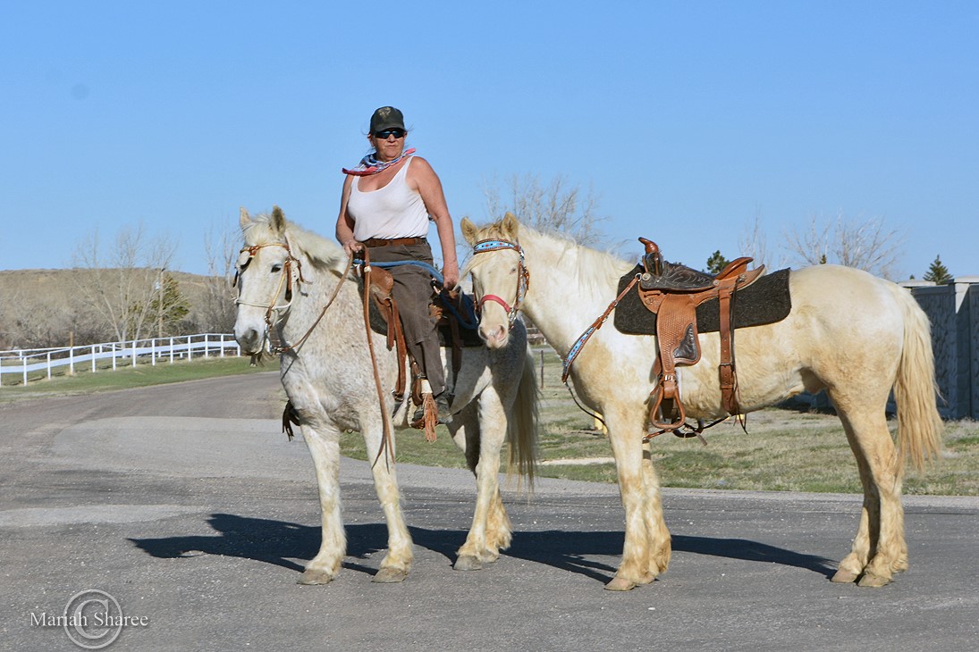 Two horses, one with a rider. 