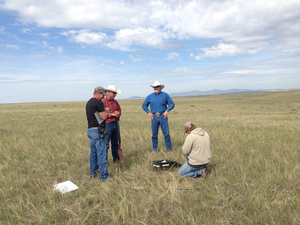 BLM staff monitoring rangeland conditions