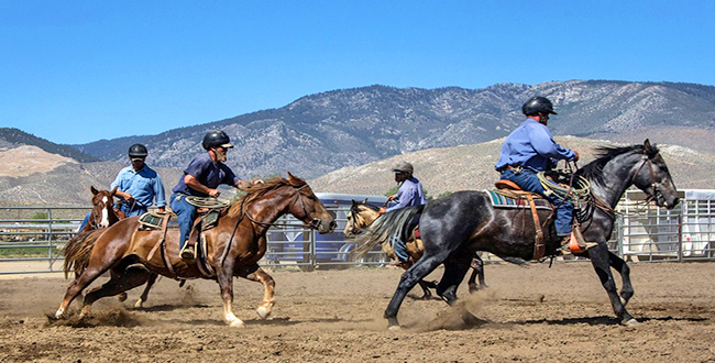 NNCC Wild Horse Inmate Training Program