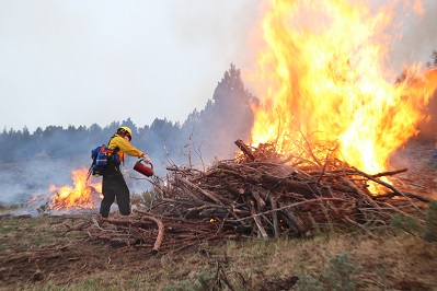 firefighter