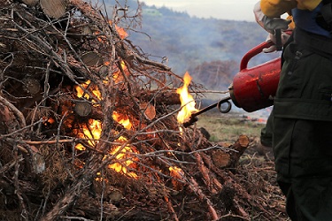more student firefighters working with drip torches