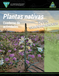 Plantas nativas joven guardaparques