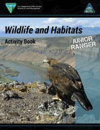 A golden eagle looks out over the Morley Nelson Snake River Birds of Prey National Monument in Idaho