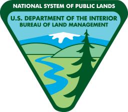 BLM logo