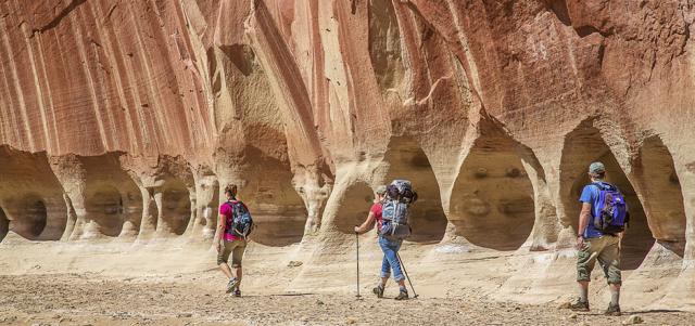Three hikers walking past the sandstone wall riddled with holes in Vermilion Cliffs National Monument.
