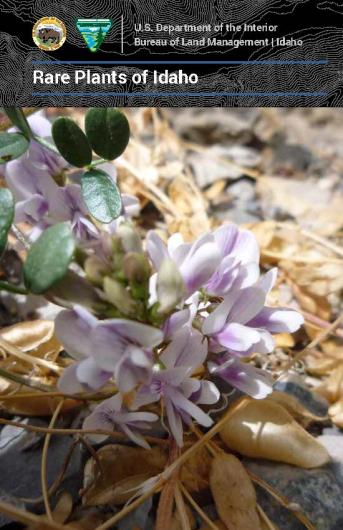 BLM Idaho Rare Plants Cover