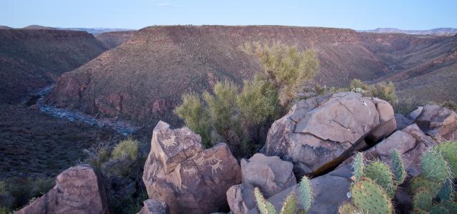 rock art depicting animals above a  canyon with a river flowing through it