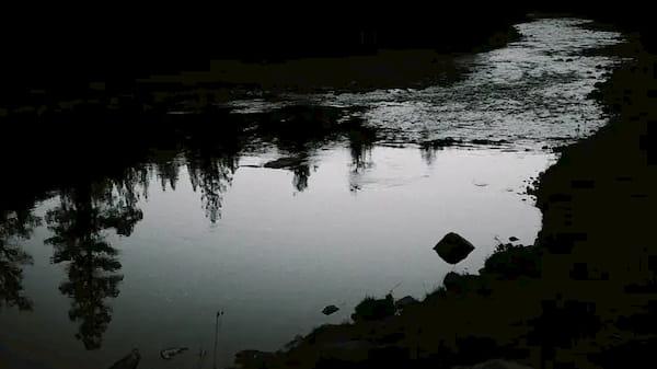 A black and white photo viewing the reflection of trees in a body of calm and placid flowing water