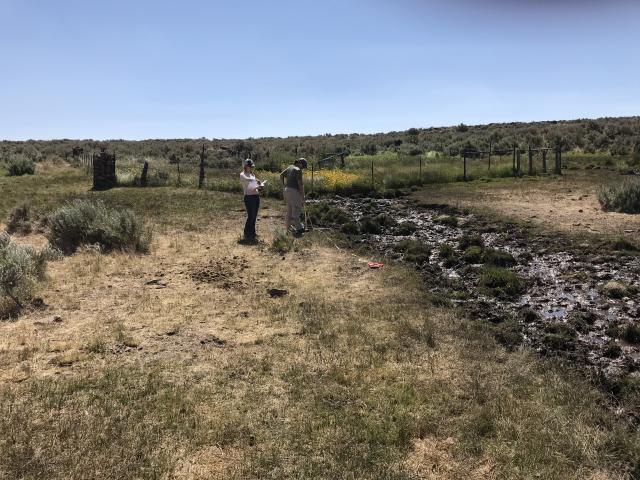 riparian area stream measurements