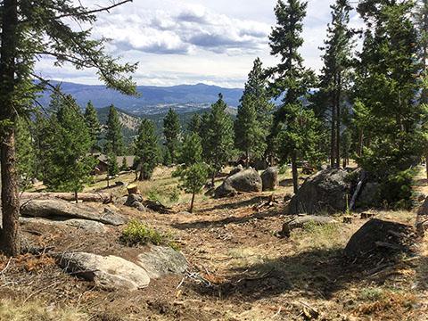 Trees, rocks, mountains