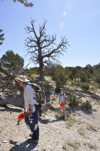 Carol wearing a backpack and hat working in high desert landscape with plants