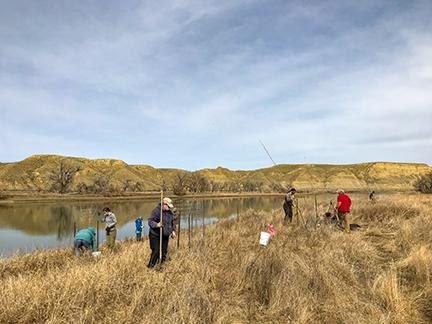 Volunteers planting cottonwood trees along the Missouri River