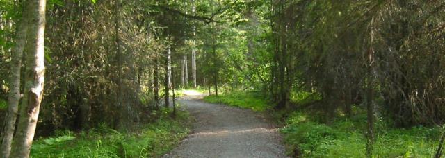 Campbell Tract Moose Track trail