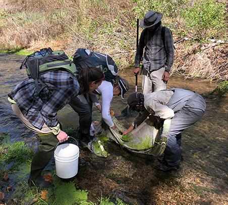 a group of people gathered around a net in a stream