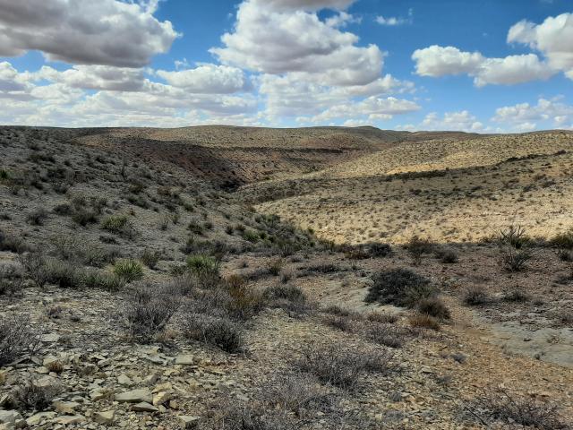 Landscape photo of blm trail