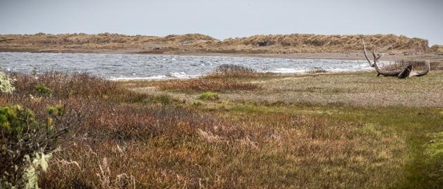 North end of Floras Lake. BLM photo by Greg Shine.