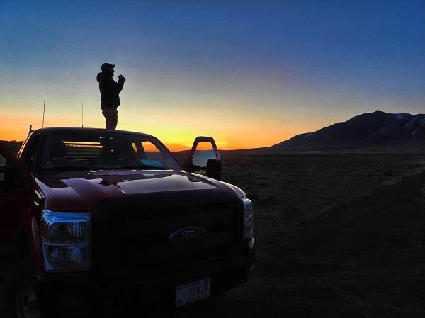 Official lek counts begin before sunrise. 