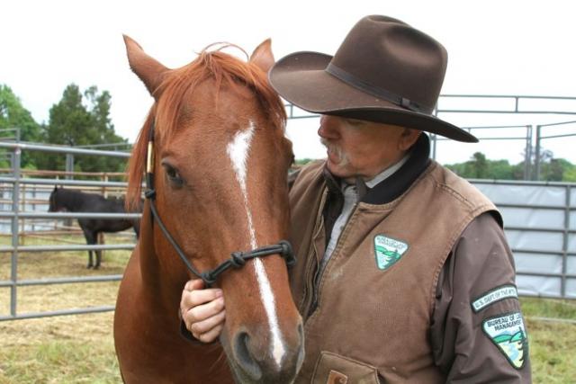 Man with horse