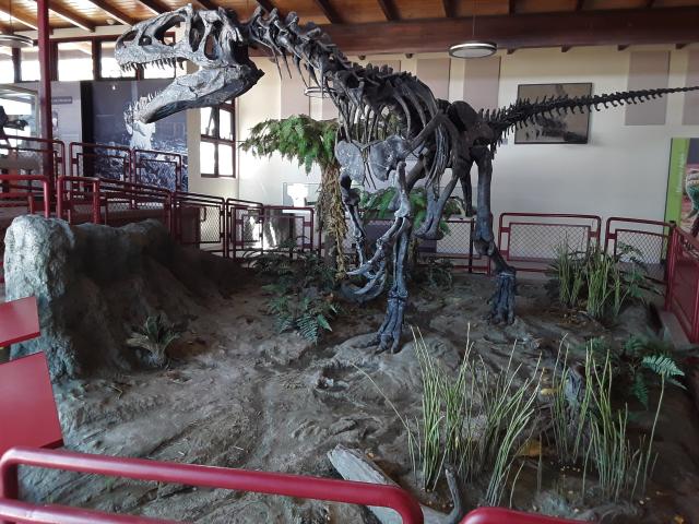 Allosaur Skeleton in the Cleveland-Lloyd Dinosaur Quarry. 