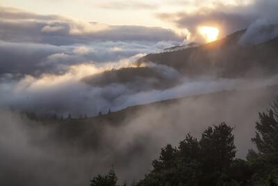 Tall forest mountains above the clouds