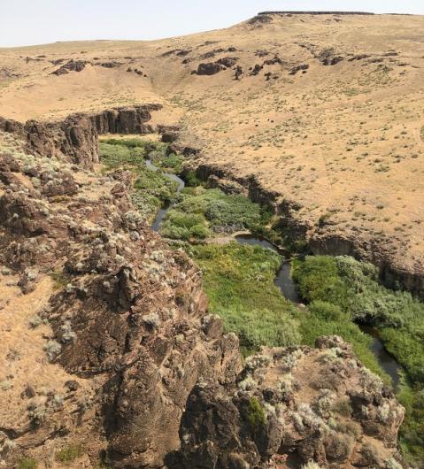 Looking down on Clover Creek from the air: a gray winding stream surrounded by green vegetation, which farther out, is surrounded by brown rocks and a brown landscape.  