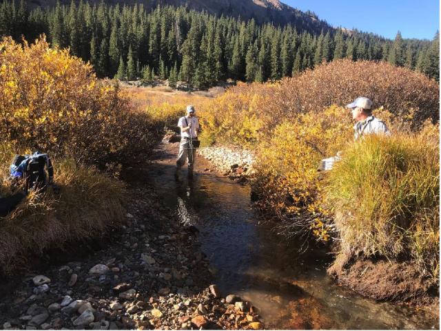 Image of hydraulic data collection on Iowa Gulch