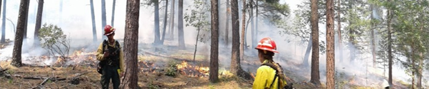 BLM employees monitor an underburn