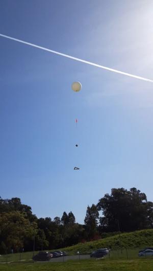 Weather balloon launching into the sky with trees below it.