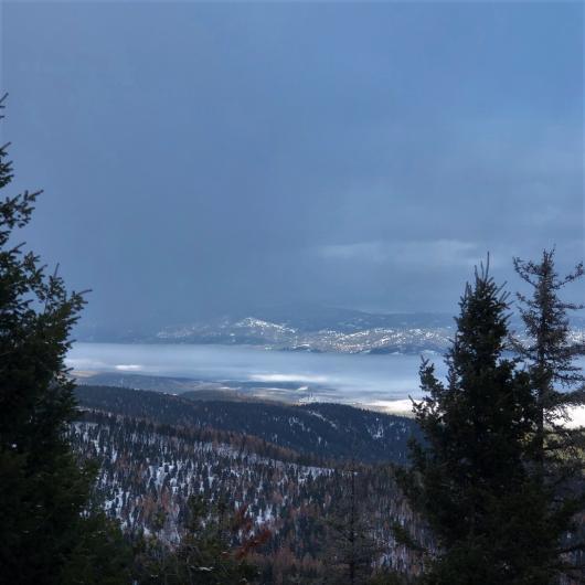 Snowy mountains in the distance. Snow covered ground and lots of trees.