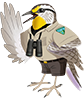 Agents of Discovery Agent mascot Meadowlark waving wearing a BLM uniform and binoculars around its neck