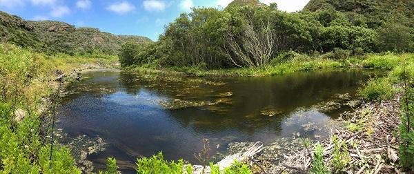 Yellowbank Pond the year after Slibsager and his crew constructed it.