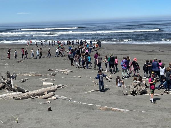 Students on the sand next to the ocean