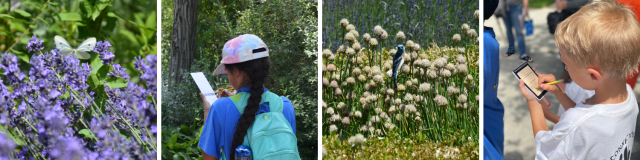 Four images with two images of youth writing in their nature journals and two photos of a butterfly and a bird on flowers at Red Butte Garden in Utah. 