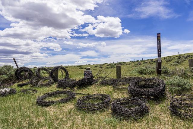 rolls of barbed wire lie in the grass under a blue sky