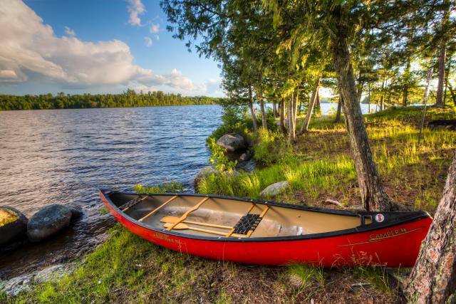 A red canoe sits on the shore of Lake Vermilion in tall green grass next to pine trees. Additional pine trees are across the lake. The sky is blue with large white clouds. 