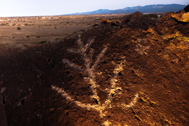 Rock art that depicts a plant on a rock overlooking a town in the distance.