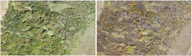 Two images compare the differences from before the restoration to after the restoration. The photo on the left is sparse, with very few areas of water, while the photo on the right has several pools and streams. 