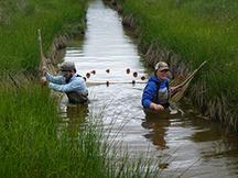 Two people wading in a creek 