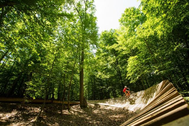 A person riding a mountain bike over a curved wooden platform.