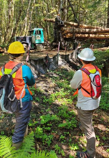 Two BLM employees (with their backs facing the camera) and wearing orange vests, backpacks, and hard hats, watch a truck delivering logs. 