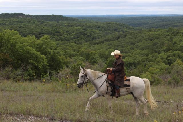 Woman rides horse in a field. 