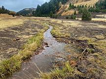 a stream of water runs along dry flat land. 