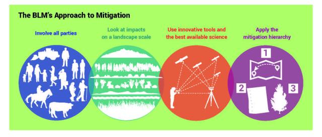 Graphic showing the principles of the BLM mitigation policy