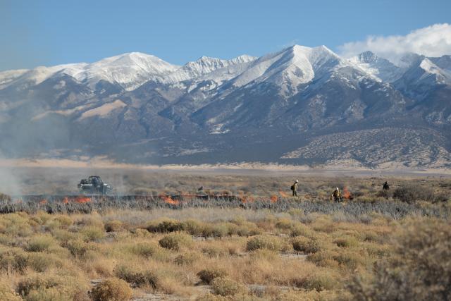 BLM firefighters conduct a prescribed burn in Colorado's Blanca Wetlands. (Photo courtesy of the BLM)