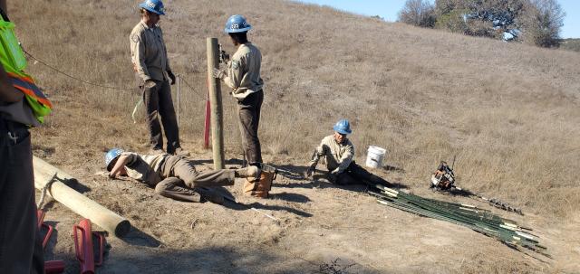 CCC crew Repairs fence 