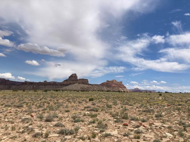 Landscape in the Price Field Office area.