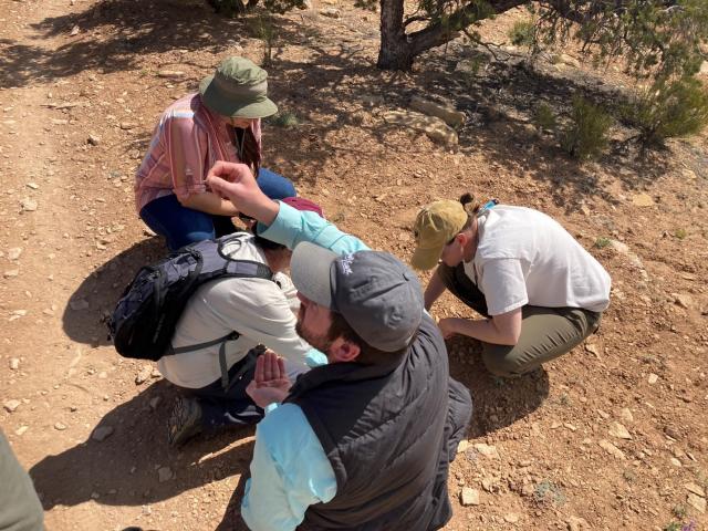 Botanists looking at plant life in Price Field Office area.